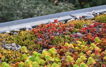 the cost of Sturminster Marshall green roof installation