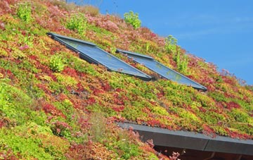 Sturminster Marshall living roof systems