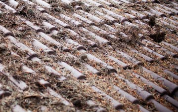 Sturminster Marshall roof cleaning companies