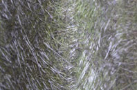 Sturminster Marshall fibreglass roof work